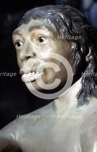 Neanderthal Woman: Reconstruction at British Museum, National History, c20th century. Artist: Unknown.
