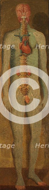 A standing dissected man showing the viscera and blood vessels, with a separate figure of the... Creator: Jacques Fabian Gautier Dagoty.