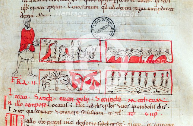 Farmer in sowing time. Miniature from 'Homilías de Beda', codex from the second half of the 11th …