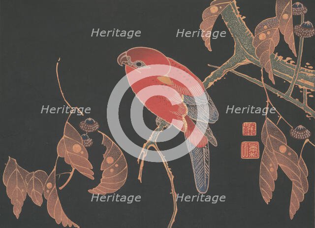 Red Parrot on the Branch of a Tree, ca. 1900. Creator: Ito Jakuchu.