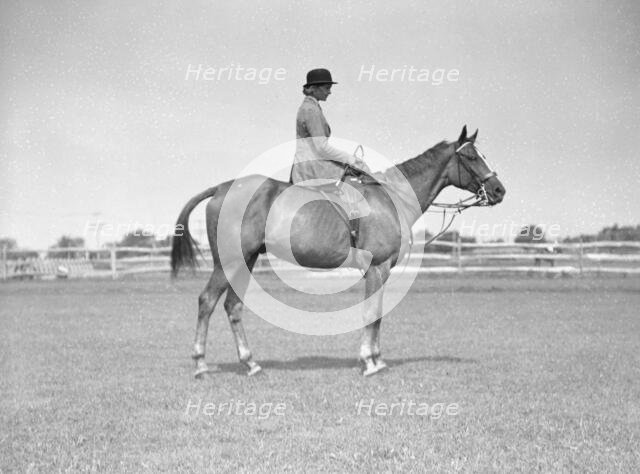 Schey, Theresa, Miss, on horse, between 1911 and 1942. Creator: Arnold Genthe.