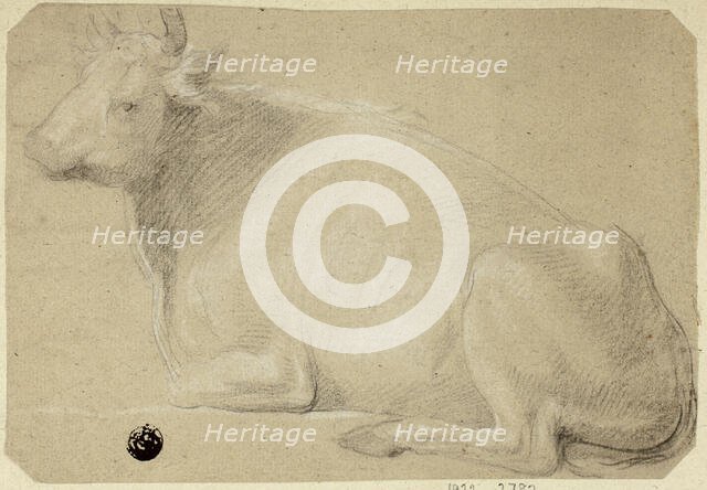 Cow Lying on Haunches, n.d. Creator: Unknown.