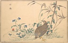 Zhu ji, 1789. Creator: Kitao Masayoshi.