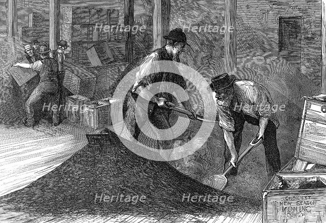 Bulking tea in the warehouses of the East & West India Dock Company, London, 1874. Artist: Unknown