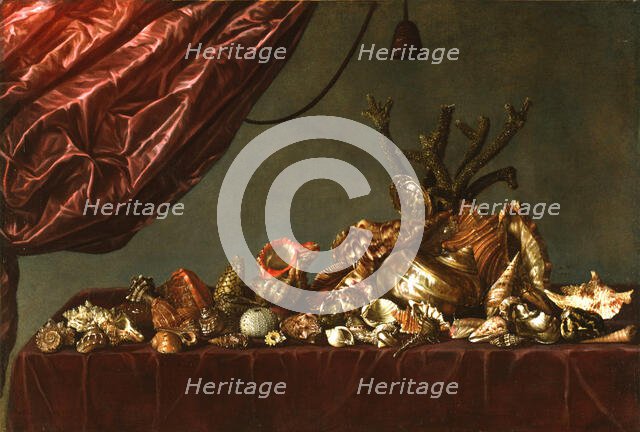 Still Life with Shells, 1659. Creator: Susenier, Abraham (c. 1620-c. 1666).