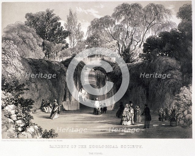 Zoological Gardens, Regent's Park, Marylebone, London, c1840. Artist: FW Hulme