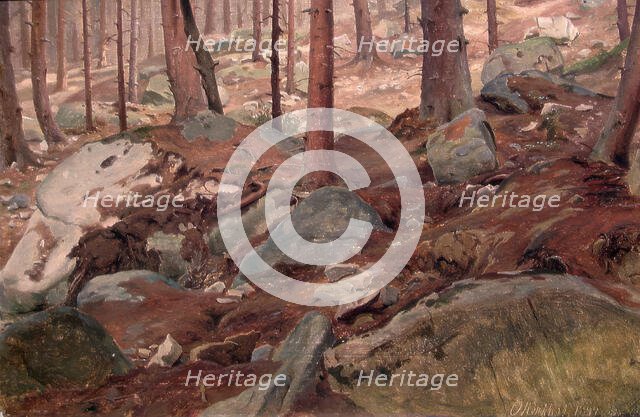 Study of a Forest Floor, 1847. Creator: J. F. Eckersberg.