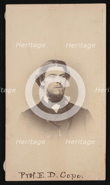 Portrait of Edward Drinker Cope (1840-1897), Circa 1860s. Creator: Unknown.