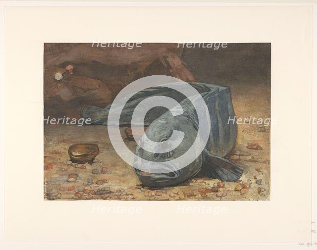 Wolffish at the bottom of an aquarium, 1883. Creator: Willem Witsen.