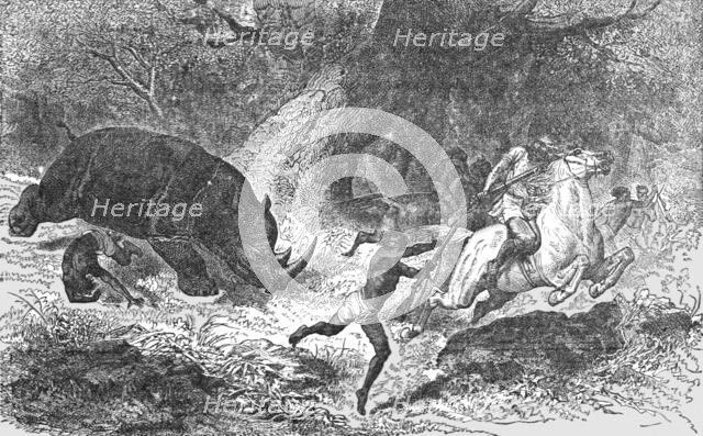 'Charge of the Black Rhinoceros; Life in a South African Colony', 1875. Creator: Unknown.