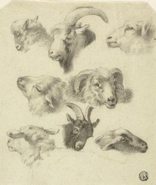 Sketches of Mountain Sheep, n.d. Creators: Charles Landseer, Edwin Henry Landseer.