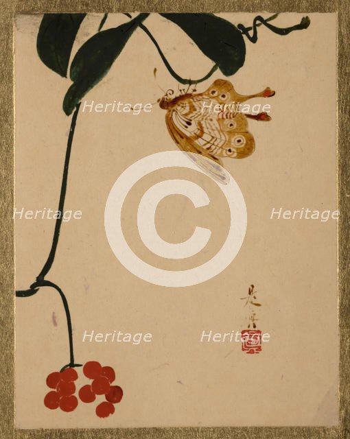 Red Berry Plant and Butterfly. Creator: Shibata Zeshin.