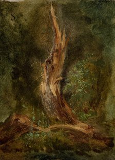 Volhynian Forest, c1864. Creator: Jozef Szermentowski.