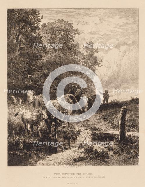 The Returning Herd, c. 1885. Creator: Peter Moran (American, 1841-1914).