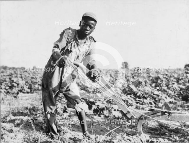 Thirteen-year old sharecropper boy near Americus, Georgia, 1937. Creator: Dorothea Lange.