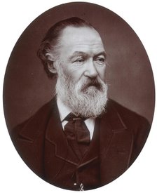 Alfred Elmore, artist and Royal Academician, 1881. Creator: Lock & Whitfield.