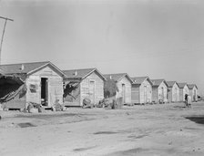 Company housing for cotton workers near Corcoran, California, 1936. Creator: Dorothea Lange.