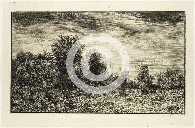 Edge of a Wood, under Cloudy Sky, 1846. Creator: Charles Emile Jacque.