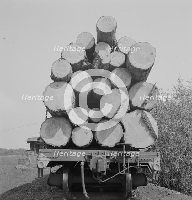 Possibly: Pelican Bay Lumber Company, near Klamath Falls, Klamath County, Oregon, 1939. Creator: Dorothea Lange.
