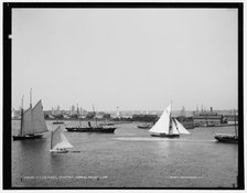 N.Y.Y.C. fleet, Newport harbor, 1888 Aug 11. Creator: Unknown.