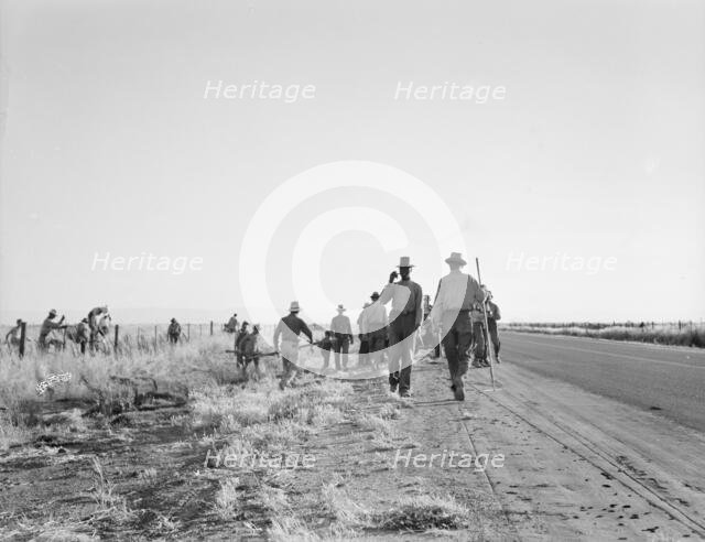 Migratory agricultural workers - cotton hoers, near Los Banos, California, 1939. Creator: Dorothea Lange.