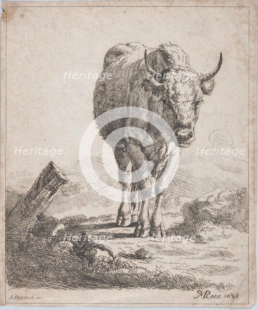 A cow, seen from the front, 1805. Creator: Adam von Bartsch.