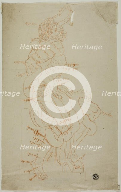 Study After Laocoon Sculpture, n.d. Creator: Unknown.