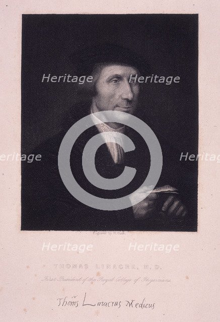 'Thomas Linacre, MD', 1847. Artist: H Cook