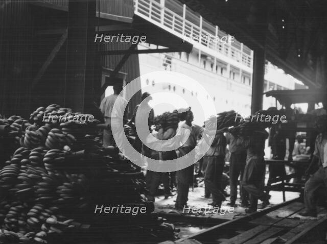Unloading bananas, New Orleans, between 1920 and 1926. Creator: Arnold Genthe.