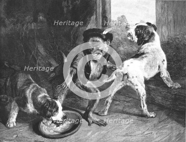''The Intruding Puppies, after Sir Edwin Landseer, RA', 1891. Creator: Harrison.