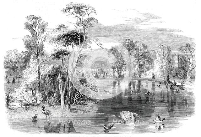 The new lake, Kew Gardens, 1860. Creator: Unknown.