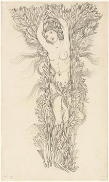 Daphne, n.d. Creator: Sir Edward Coley Burne-Jones.