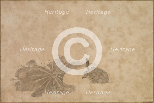 Turtle in a Lotus Pond, 18th century. Creator: Unknown.