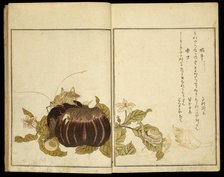 Picture Book: Selected Insects (Ehon mushi erabi), Japan, 1788. Creator: Kitagawa Utamaro.