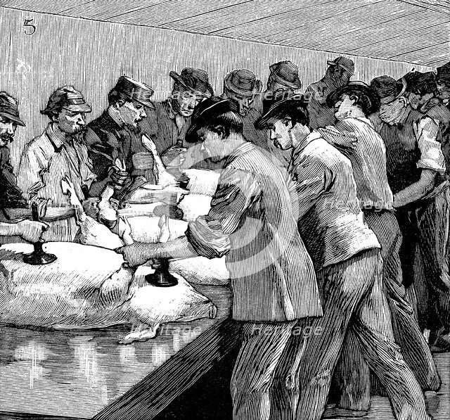 Armour Company's pig slaughterhouse, Chicago, Illinois, USA, 1892. Artist: Unknown