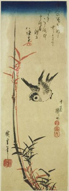 Sparrow and bamboo, mid-1830s. Creator: Ando Hiroshige.