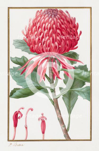 Untitled, 1828-1835. Creator: Pancrace Bessa (French, 1772-1846).