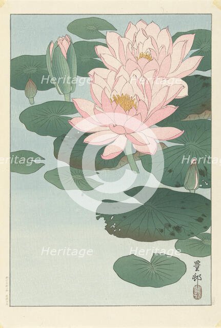 Water Lilies, 1920-1930. Creator: Ohara, Koson (1877-1945).