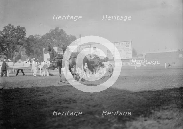 Horse Shows - E.T. Stotesbury Driving, 1910. Creator: Harris & Ewing.