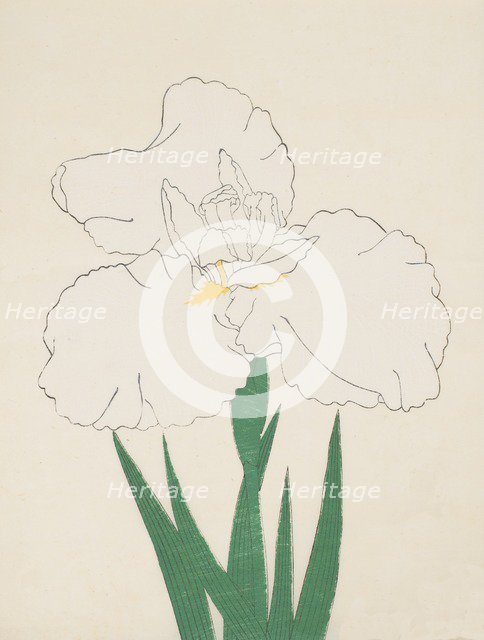 Fuji-No-Yuki, No. 13, 1890, (colour woodblock print)