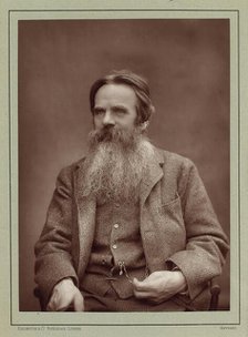 Portrait of the painter William Holman Hunt (1827-1910), ca 1885. Creator: Barraud, Herbert Rose (1845-1896).