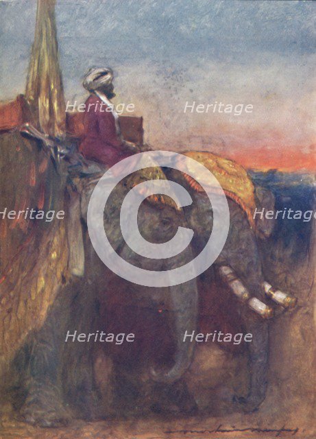 'Jaipur Elephants', 1903. Artist: Mortimer L Menpes.