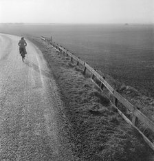 Woman cycling along a road raised up above the surrounding fenland, Cambridgeshire, early 1950s. Artist: John Gay.
