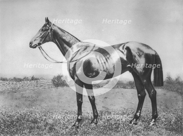 'Black Arrow', 1911. Artist: Unknown.