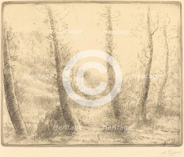 Small Lake (Le petit lac). Creator: Alphonse Legros.