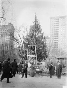 Xmas tree in Madison Sq. Park, N.Y.C., between c1910 and c1915. Creator: Bain News Service.