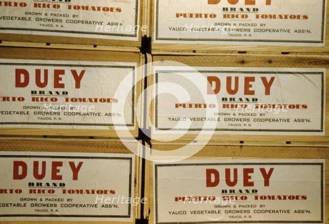 Tomato crates at the Yauco cooperative tomato growers' association, Puerto Rico, 1942. Creator: Jack Delano.