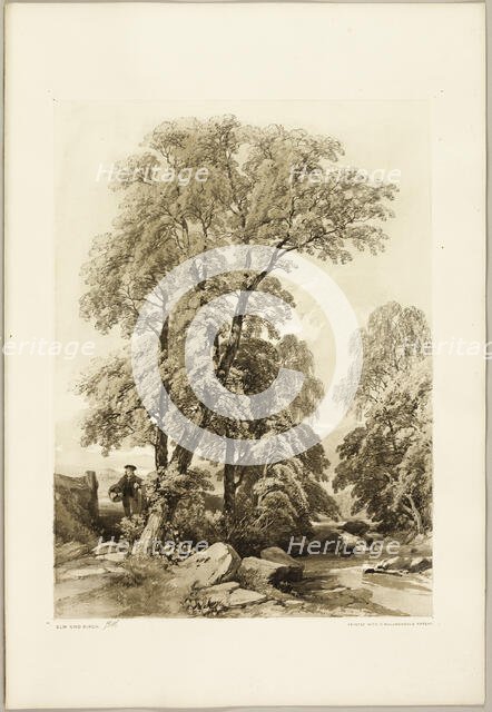 Elm and Birch, from The Park and the Forest, 1841. Creator: James Duffield Harding.