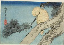 Owl on pine branch, 1830s. Creator: Ando Hiroshige.