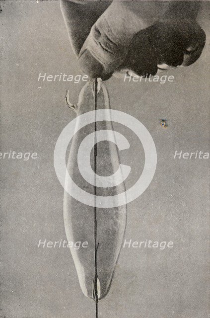 The First Incandescent Electric Lamp, c1916. Artist: Unknown